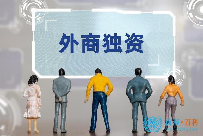 外商獨資企業(ye) 